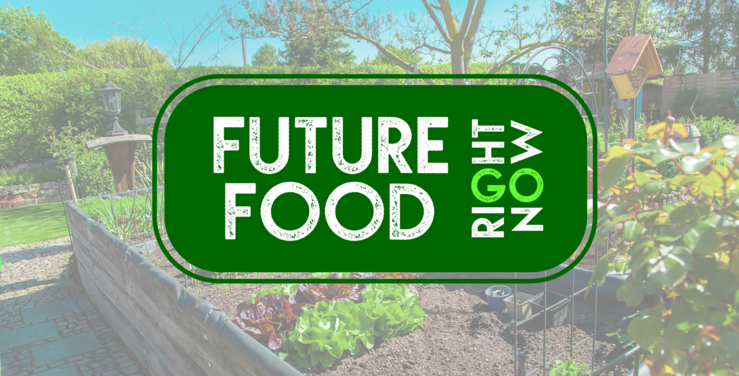 FUTURE FOOD Right Now Conference Recordings